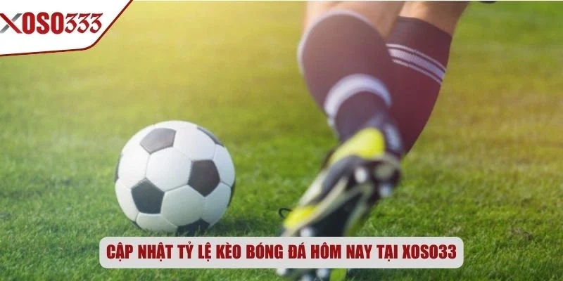 Cập nhật tỷ lệ kèo bóng đá hôm nay tại Xoso333