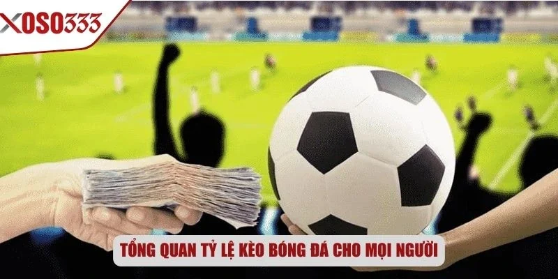 Tổng quan tỷ lệ kèo bóng đá cho mọi người