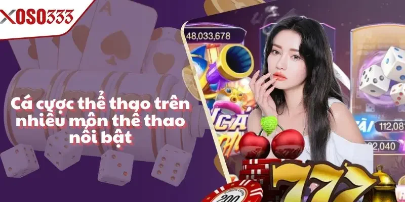 Cá cược thể thao nổi bật với nhiều nhà cung cấp uy tín