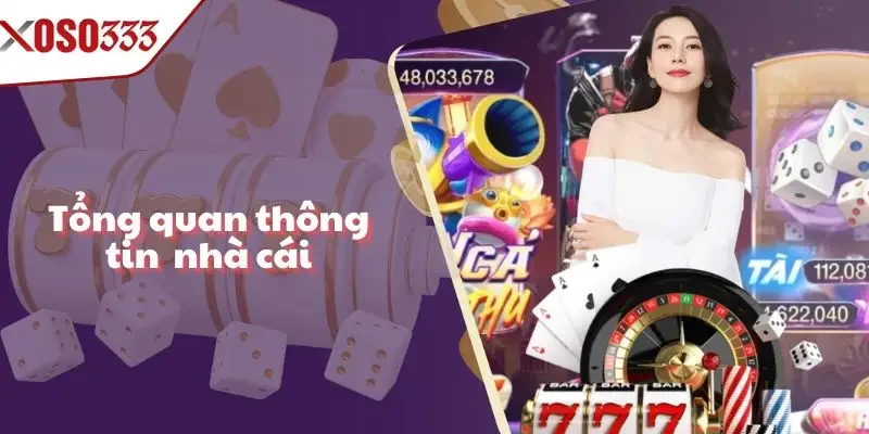 Tổng quan thông tin giới thiệu của nhà cái Xoso333